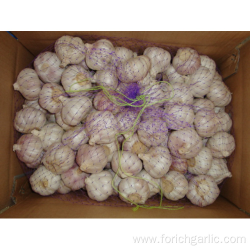 Fresh Normal White Garlic 4.5cm